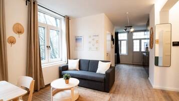 Fernseher, Arbeitsbereiche