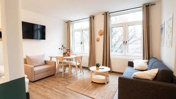 Fernseher, Arbeitsbereiche