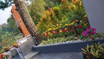 Área da propriedade