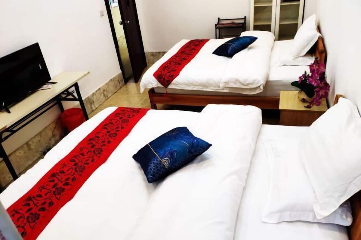 Two single beds with red and blue pillows, a TV on a small table, and a wooden nightstand with a vase of flowers.