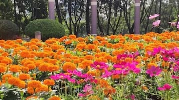 Khuôn viên nơi lưu trú