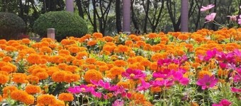 Luojia Apartment (The Sixth Affiliated Hospital of Sun Yat-sen University)