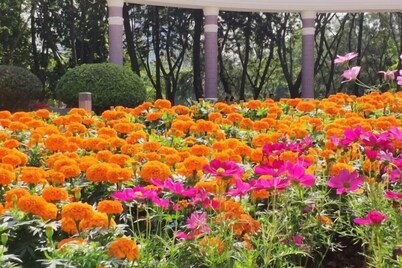 Luojia Apartment (The Sixth Affiliated Hospital of Sun Yat-sen University)