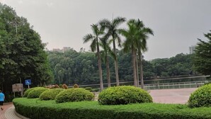 施設の敷地