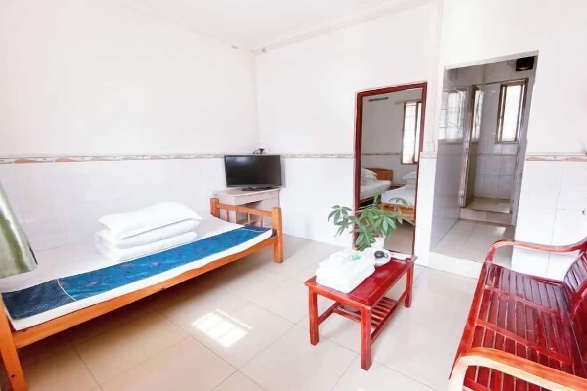 A hotel room with a bed, a television, a small table with a plant, and a mirror.