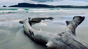 A driftwood log on a beach with waves and a distant mountain. - Birdsong - a cosy cabin with a view (Adventure Bay)