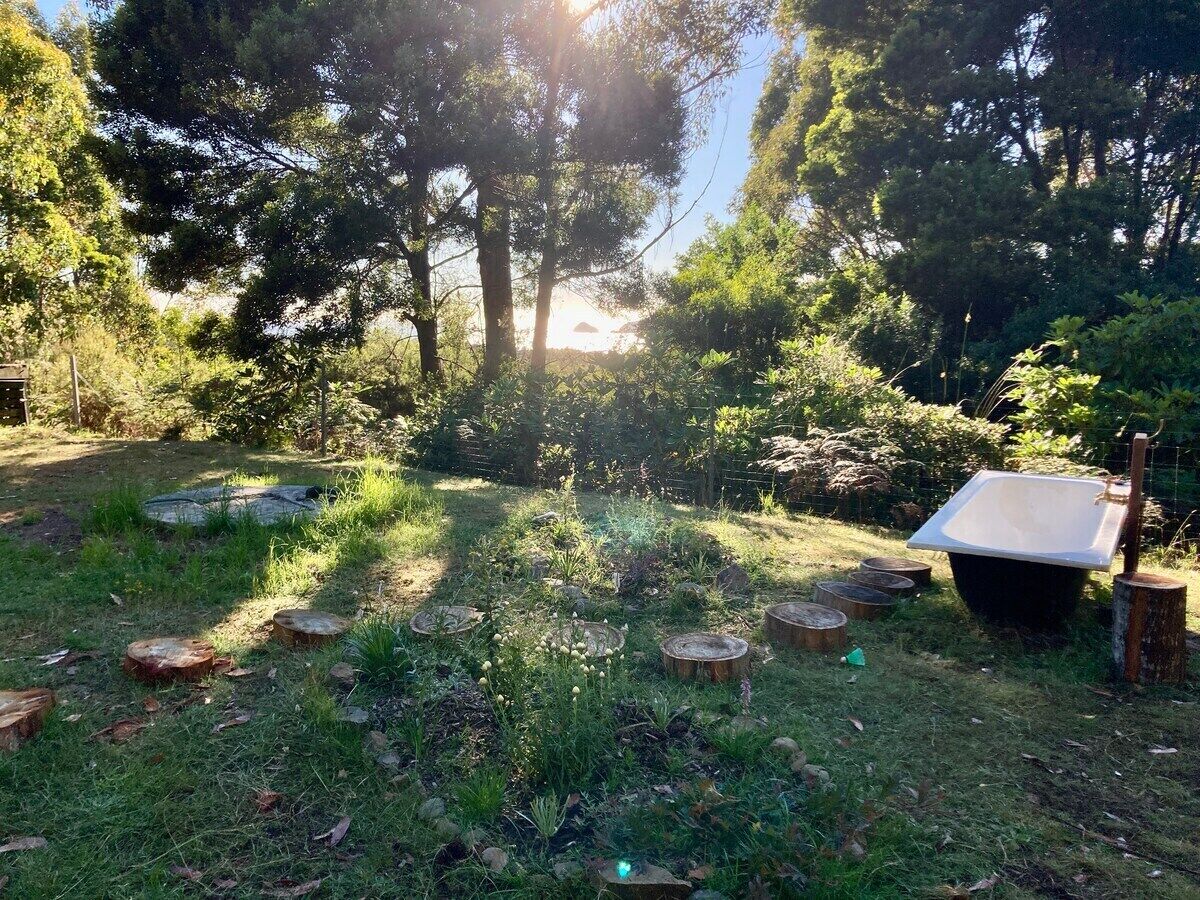 Een tuin met een grote plantenbak, houten boomstronken en diverse planten.