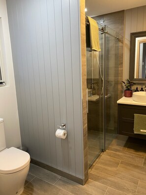 Ein modernes Badezimmer mit einer Duschkabine, einer Toilette und einem Waschbecken mit Spiegel darüber.