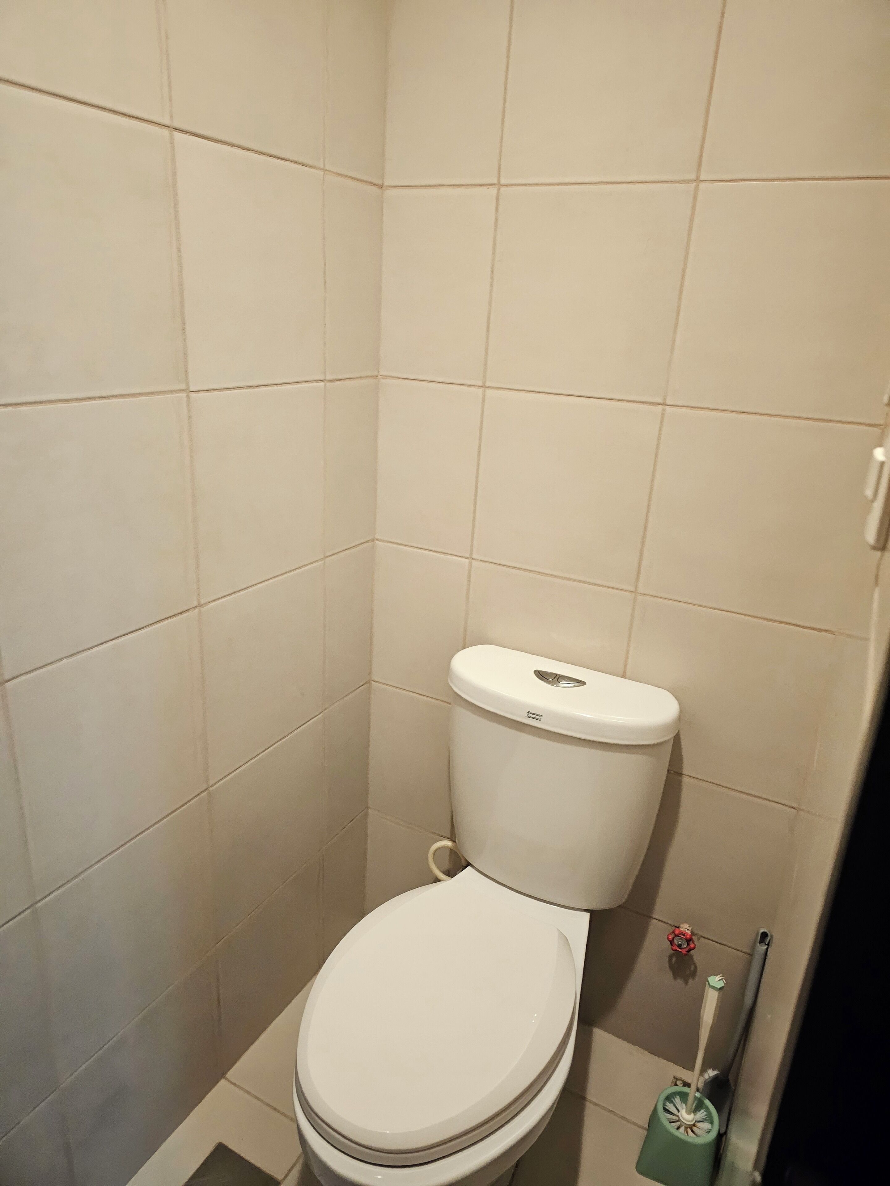 A small, clean bathroom with a toilet, a green cleaning brush, and a toilet brush.