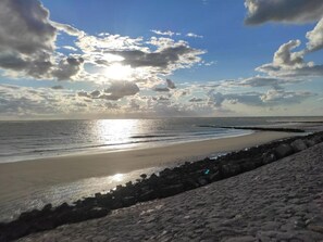 Beach - L'albatros 15 (Fort-Mahon-Plage)