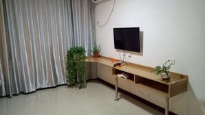Een kamer met een wandgemonteerde flatscreen televisie, een houten console tafel met een potplant en een groot raam met gordijnen.