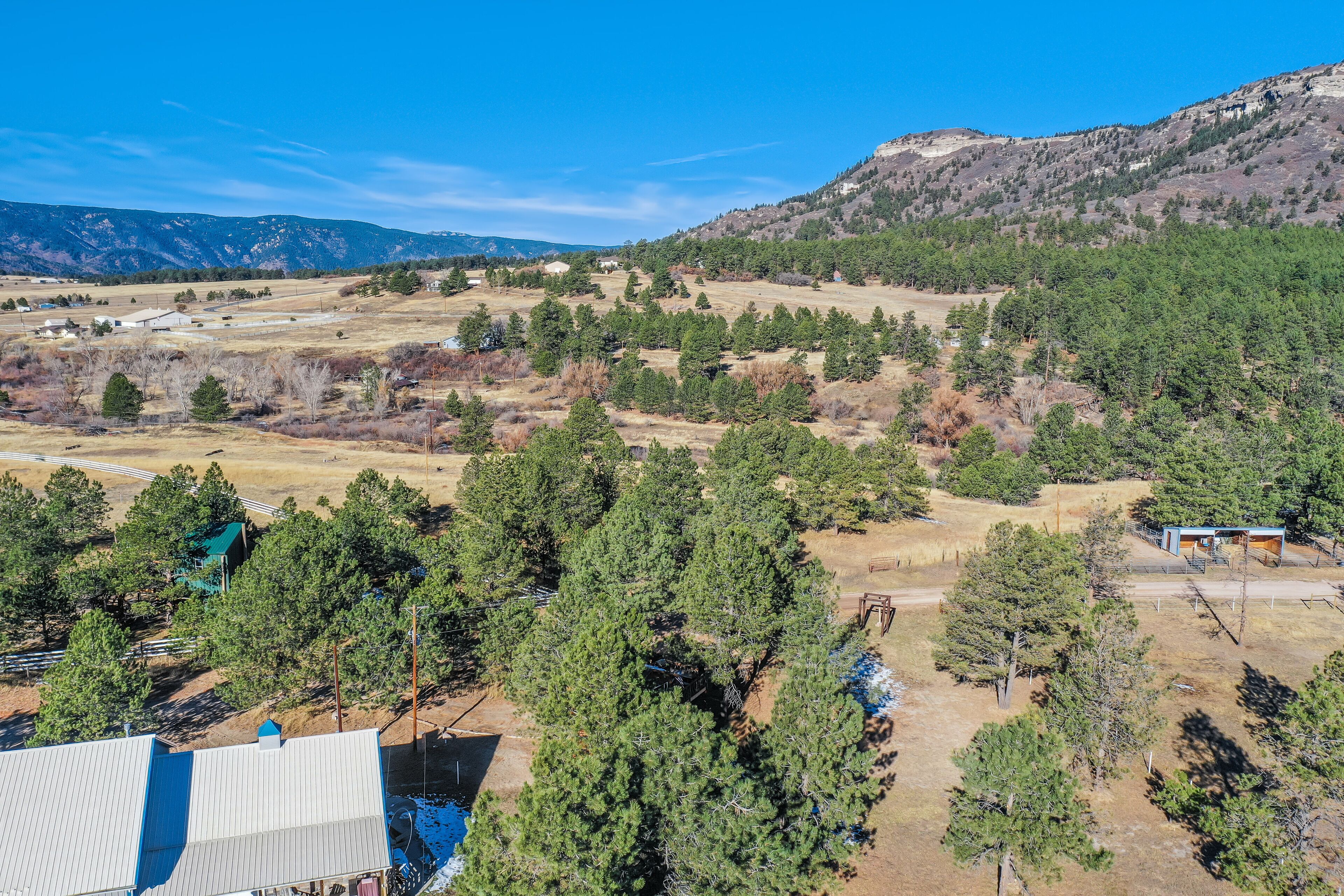 A rural landscape with a house surrounded by dense pine trees and open fields.