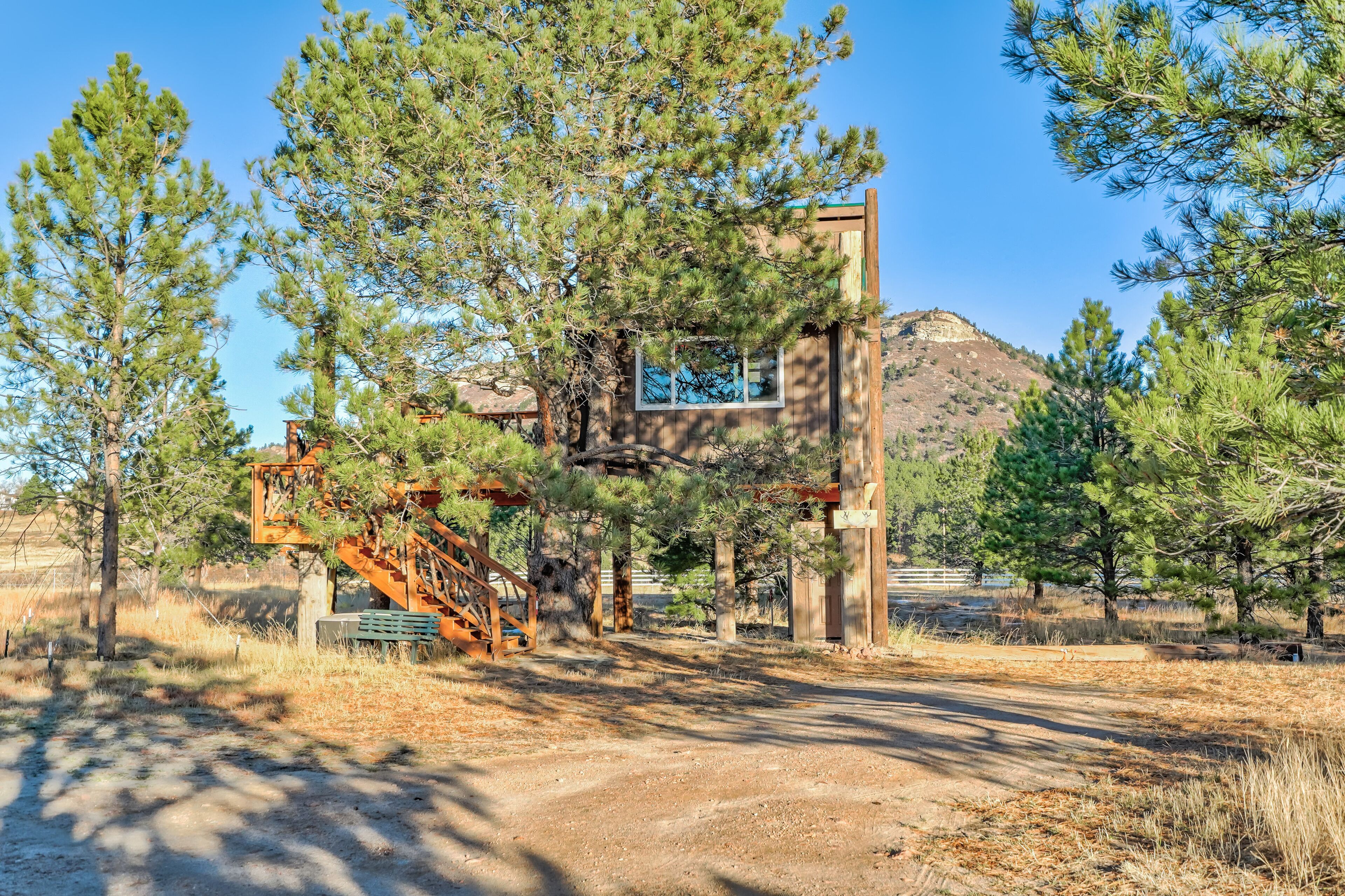 A rustic cabin with a wooden staircase, surrounded by pine trees and a dirt path.