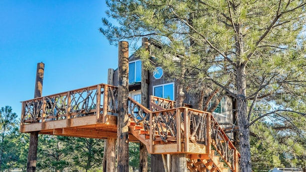 Une cabane en bois perchée dans un arbre, avec un escalier et une petite fenêtre, entourée d’arbres.