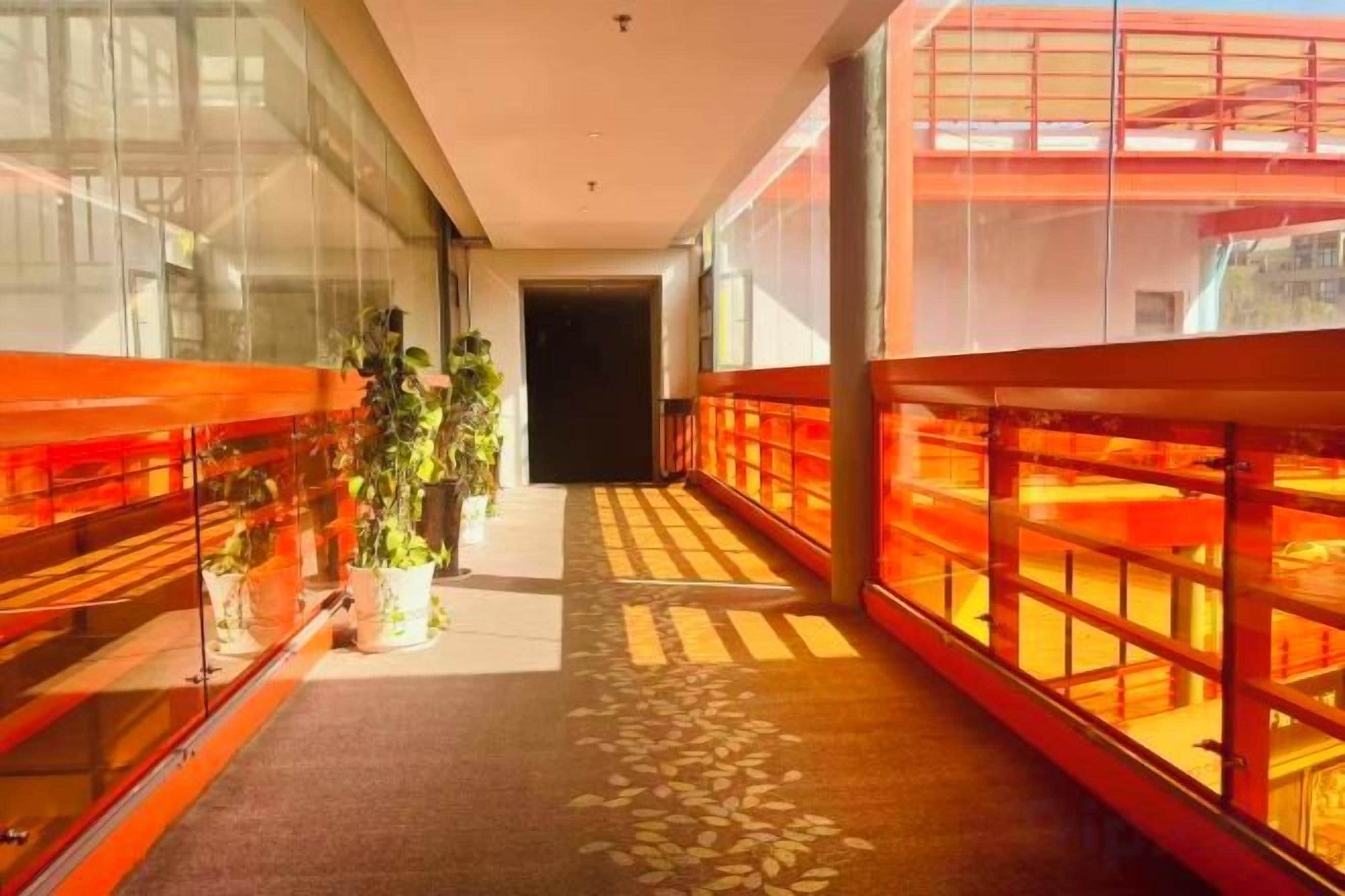 A corridor with glass walls, potted plants, and a patterned carpet.