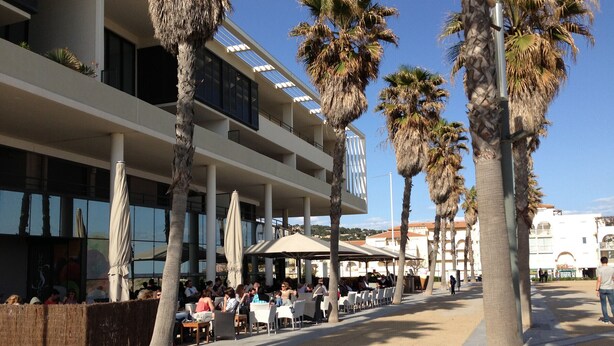An outdoor seating area with palm trees and umbrellas, a modern building with balconies, and a clear sky.