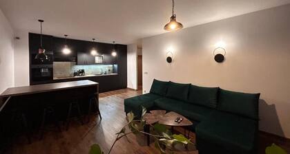 BoleslaviaApartments - Apartament Arte - 2, parking free, EV charging station