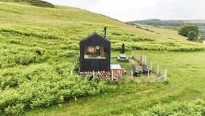 A small, black wooden cabin with a chimney, surrounded by lush green ferns and a picnic area with chairs and a table.