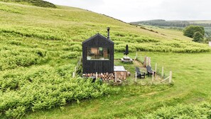 A small, black wooden cabin with a chimney, surrounded by lush green ferns and a picnic area with chairs and a table.