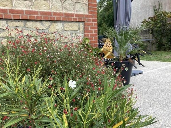 Property grounds - Charming Villa with Private Garden, Modern Amenities, and Prime Location in Loire Valley (Sepmes)