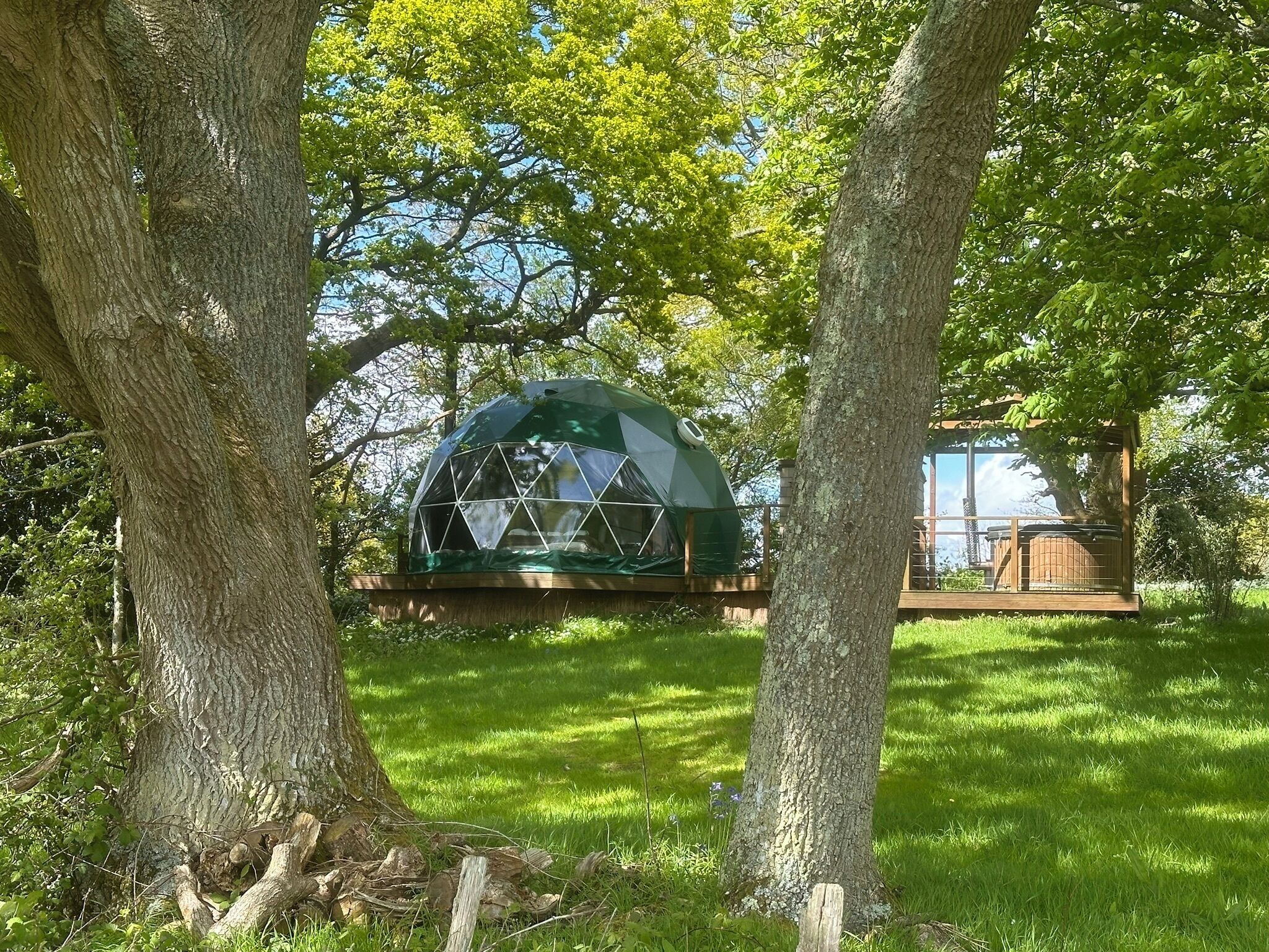 A geodesic dome structure in a wooded area with a wooden deck.