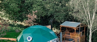 Luna Domes