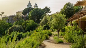 A pathway leading through a garden with various plants and trees, a wooden pergola, and a building with a bell tower in the background. - Terre de Maquis (Sari-d'Orcino)