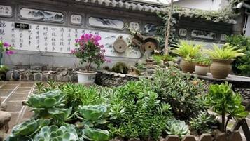 Khuôn viên nơi lưu trú