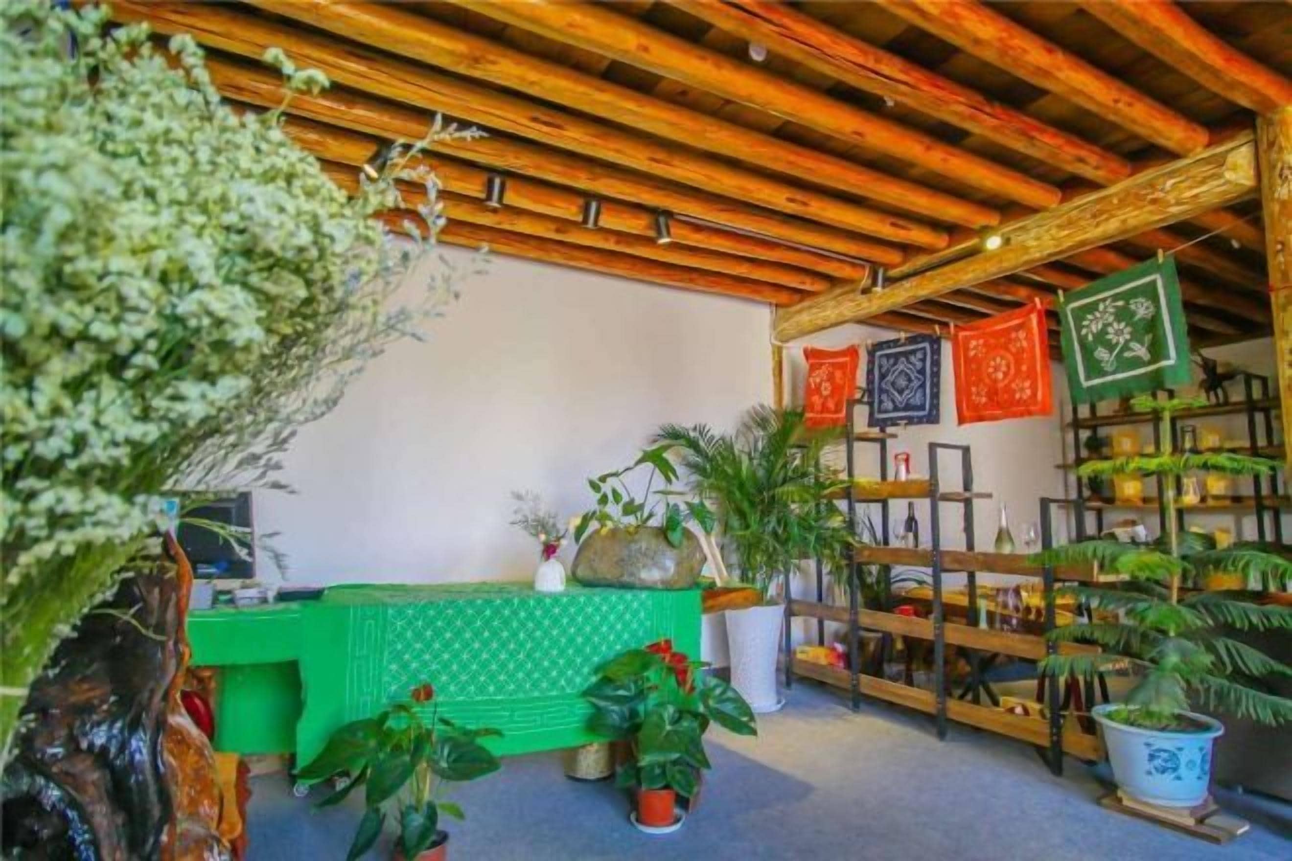A room with a wooden ceiling, a green sofa, and various potted plants.