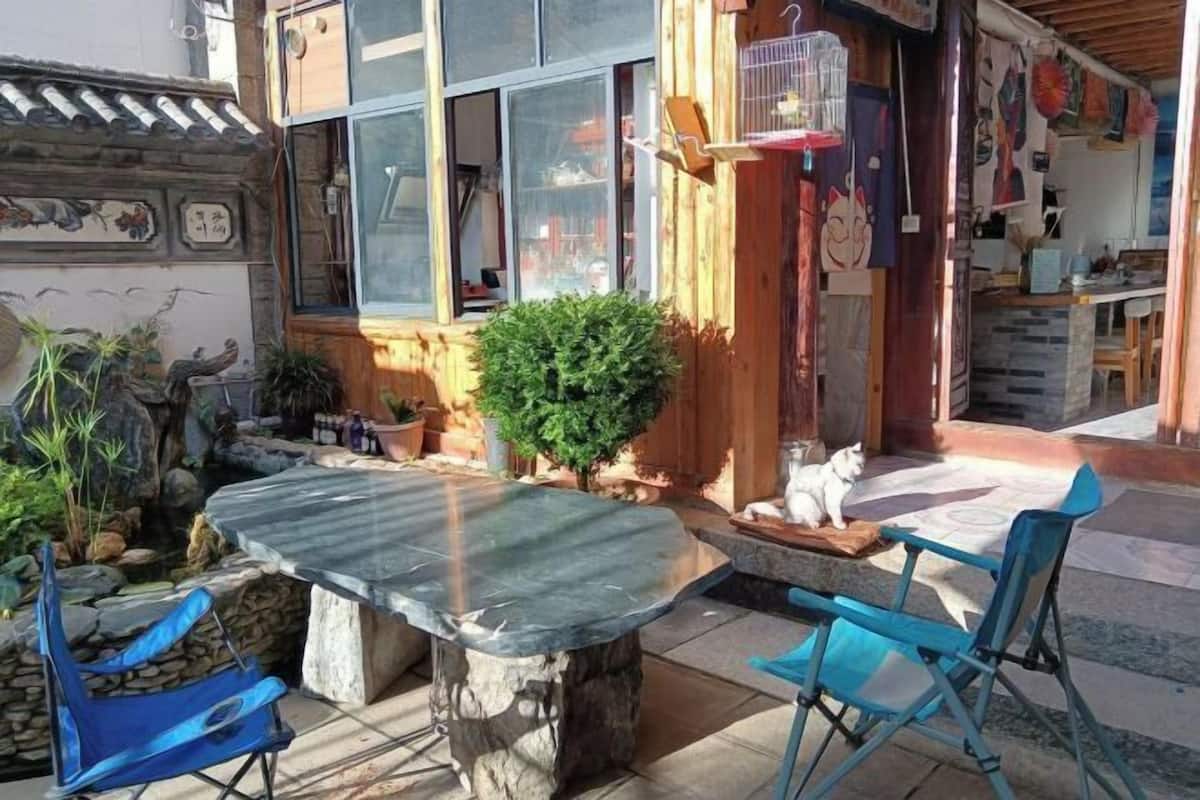 A patio with a stone table and blue chairs, a small tree, and a white cat on the ground.