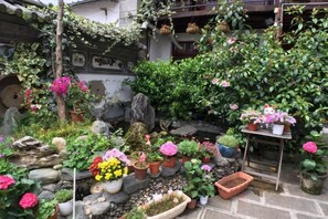 Un jardin agrémenté de diverses plantes et fleurs en pot, d’un chemin de pierres et d’une petite table sur laquelle sont disposées d’autres plantes.