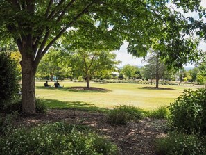 Property grounds - Little Mango Farm Retreat by Tiny Away (Mangoplah)