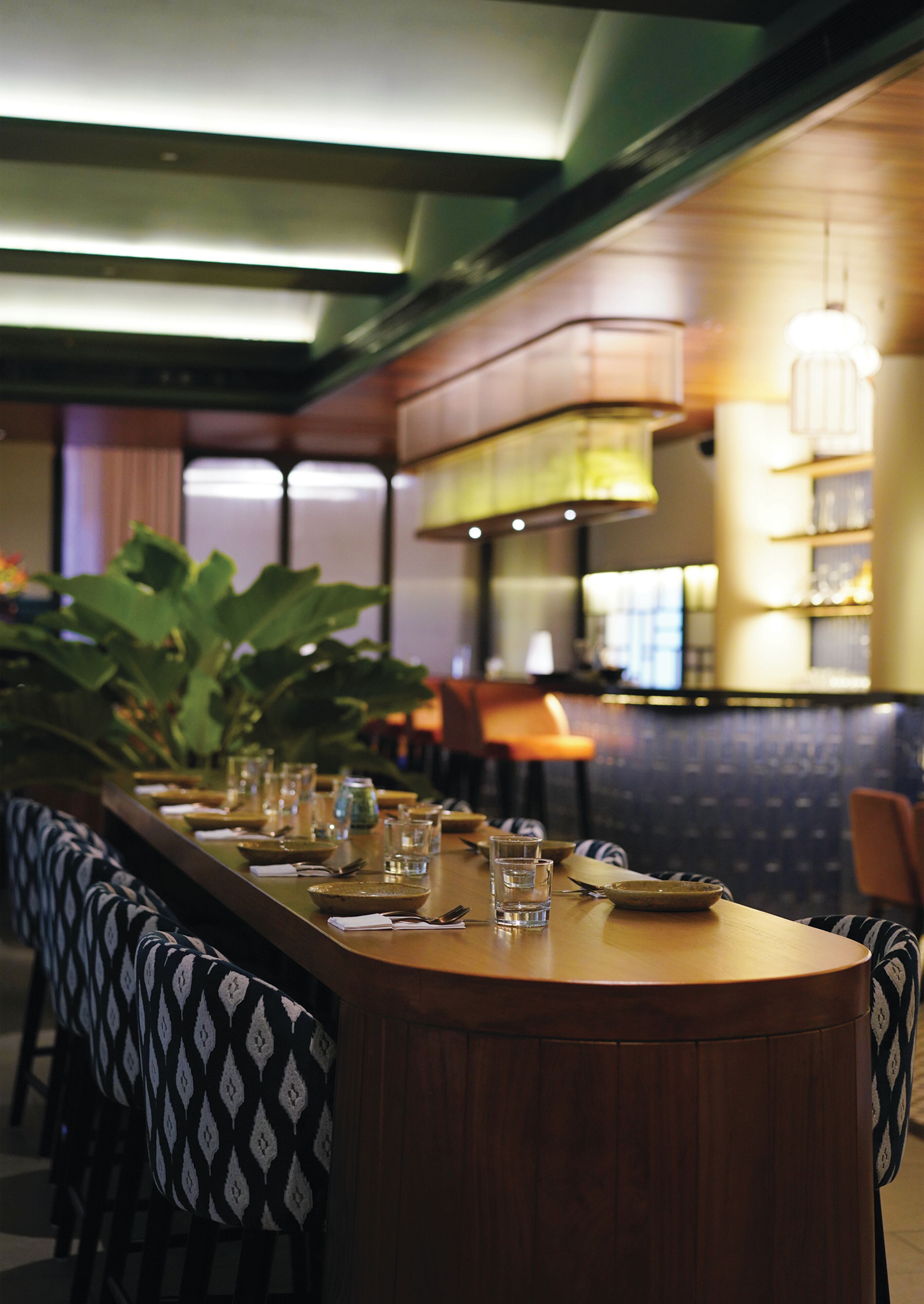 Un restaurante con una barra larga, asientos con cojines estampados y una planta grande.
