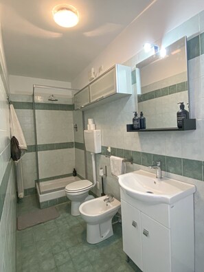 Hair dryer, towels, soap, toilet paper