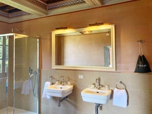 Shower, hair dryer, bidet, towels