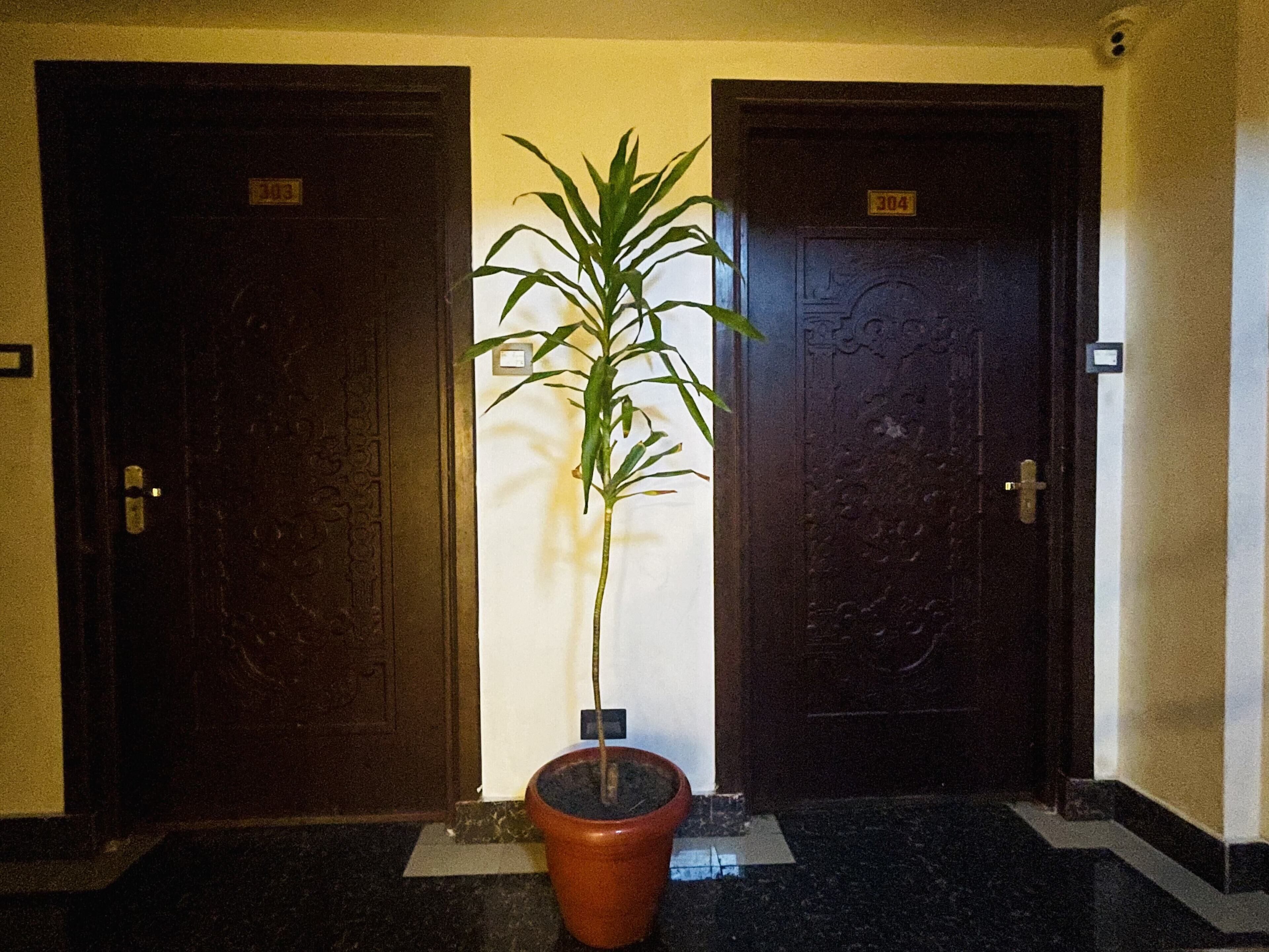 Foto - Hotel de Universal