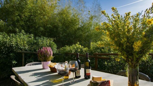 Une table d’extérieur avec des verres à vin, des bouteilles, du fromage et un vase rempli de fleurs.