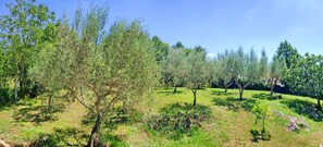 Jardines del alojamiento