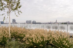 Vista desde la propiedad