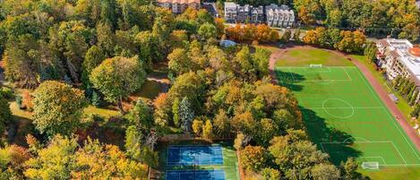 Sports court