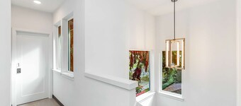 Yoda's Swamp Suite in Queen Anne