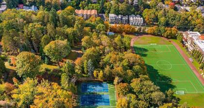 Yoda's Swamp Suite in Queen Anne