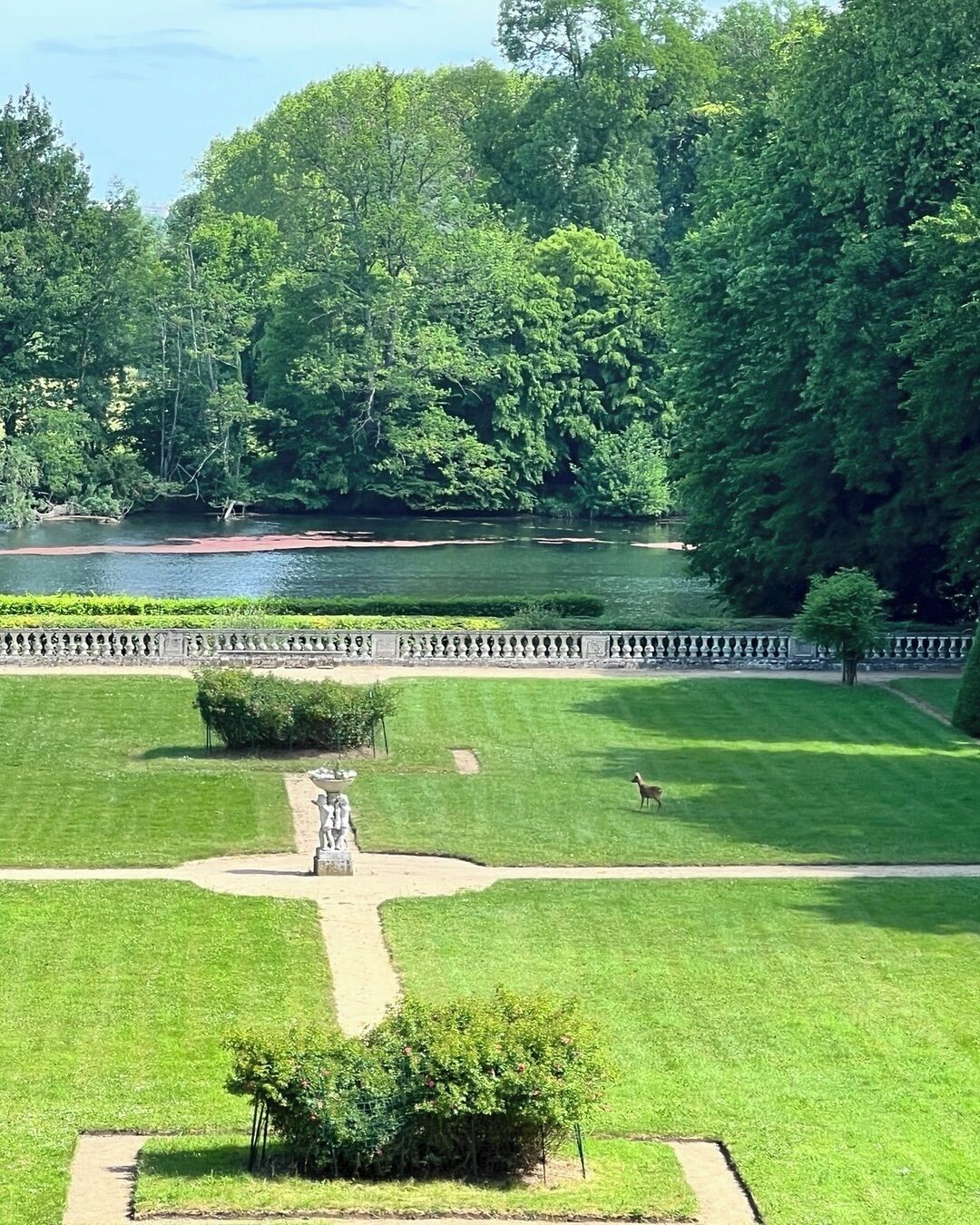 A well-maintained lawn with a central pathway, a small pond, and dense trees in the background.