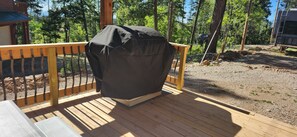 Property grounds - "High End Luxury Cabin", Forest Access, Spacious, Views, Elevation, Sparkling (Cloudcroft)