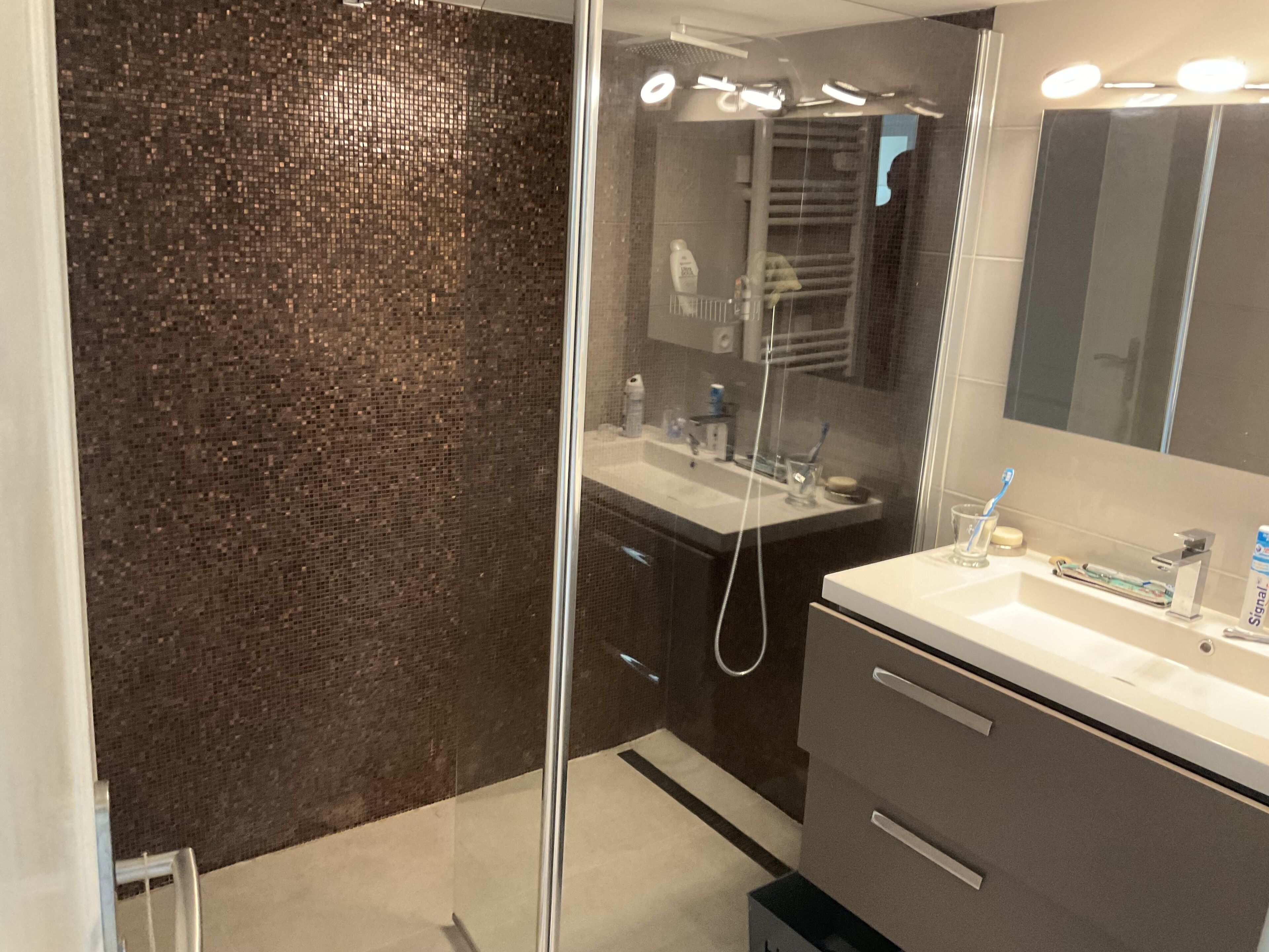 Shower, towels, toilet paper