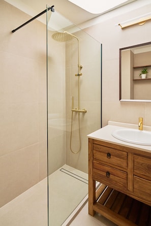 Shower, hair dryer, towels