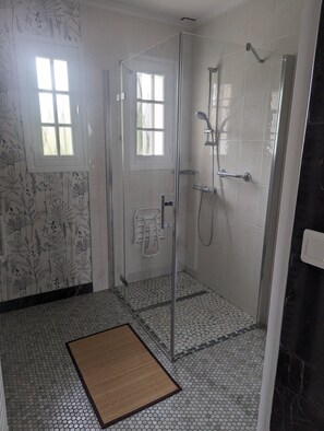 Ducha, secador de pelo, toallas y papel higiénico