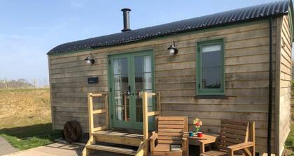 Luxury Shepherd's Hut with woodburner