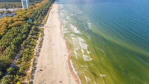 Vue aérienne d’une plage, avec une zone boisée et un bâtiment situé sur la gauche.