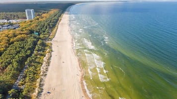 Luftaufnahme eines Strandes mit einem bewaldeten Gebiet und einem Gebäude links.